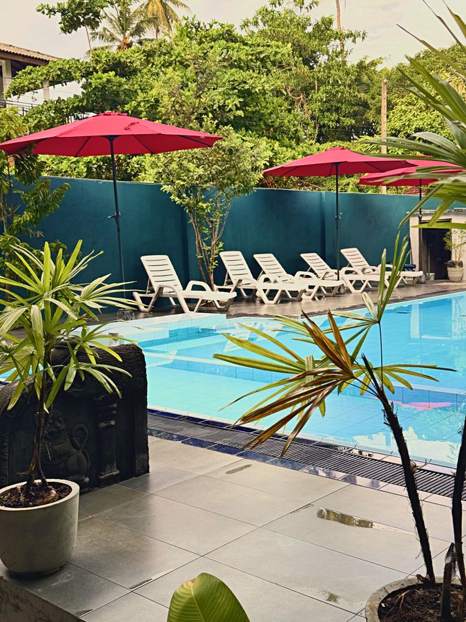 Pool terrace and palms